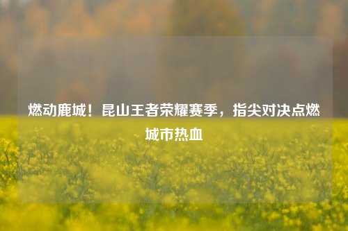 燃动鹿城!昆山王者荣耀赛季,指尖对决点燃城市热血