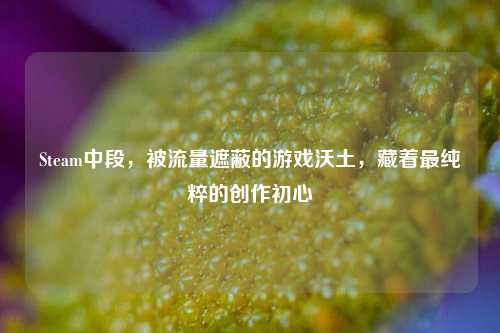 Steam中段,被流量遮蔽的游戏沃土,藏着最纯粹的创作初心