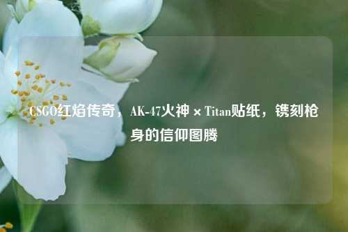 CSGO红焰传奇,AK-47火神×Titan贴纸,镌刻枪身的信仰图腾