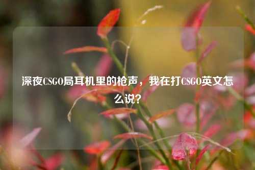 深夜CSGO局耳机里的枪声，我在打CSGO英文怎么说？