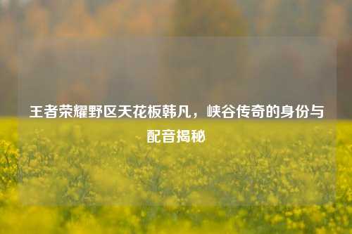 王者荣耀野区天花板韩凡,峡谷传奇的身份与配音揭秘