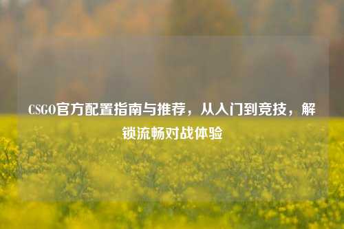 CSGO官方配置指南与推荐,从入门到竞技,解锁流畅对战体验
