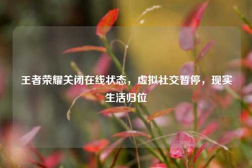 王者荣耀关闭在线状态,虚拟社交暂停,现实生活归位