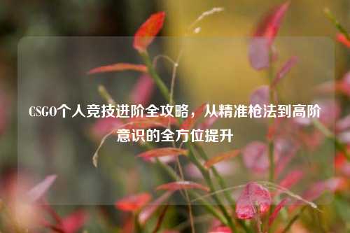 CSGO个人竞技进阶全攻略,从精准枪法到高阶意识的全方位提升