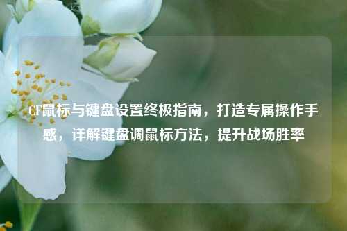 CF鼠标与键盘设置终极指南,打造专属操作手感,详解键盘调鼠标方法,提升战场胜率