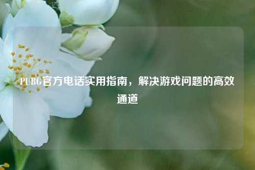 PUBG官方电话实用指南,解决游戏问题的高效通道
