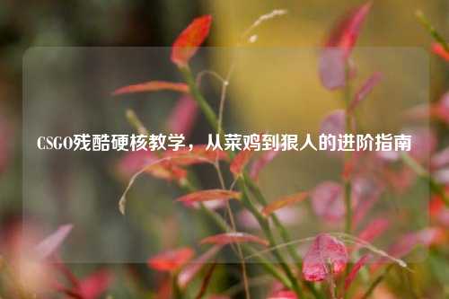 CSGO残酷硬核教学,从菜鸡到狠人的进阶指南