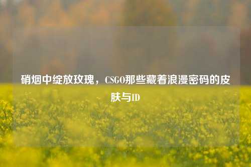 硝烟中绽放玫瑰,CSGO那些藏着浪漫密码的皮肤与ID