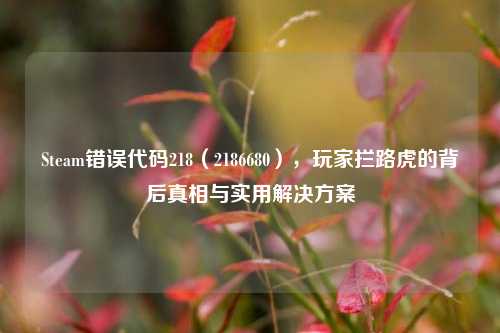 Steam错误代码218(2186680),玩家拦路虎的背后真相与实用解决方案