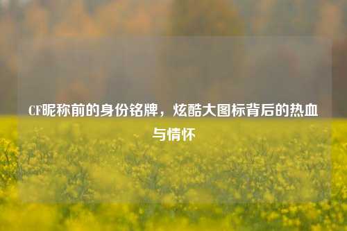 CF昵称前的身份铭牌,炫酷大图标背后的热血与情怀