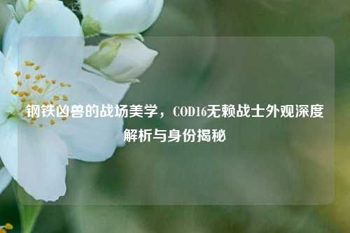 钢铁凶兽的战场美学,COD16无赖战士外观深度解析与身份揭秘