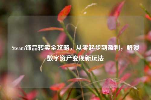 Steam饰品转卖全攻略,从零起步到盈利,解锁数字资产变现新玩法