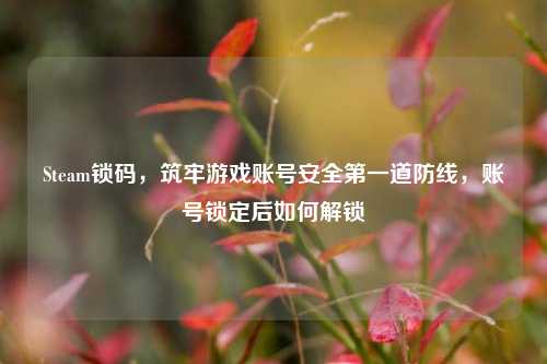 Steam锁码,筑牢游戏账号安全第一道防线,账号锁定后如何解锁
