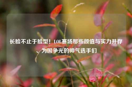 长脸不止于脸型！LOL赛场那些颜值与实力并存、为国争光的帅气选手们
