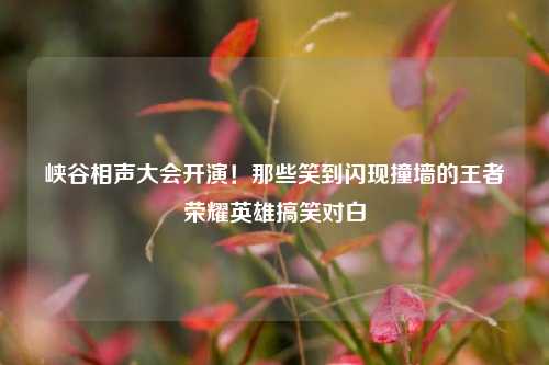 峡谷相声大会开演！那些笑到闪现撞墙的王者荣耀英雄搞笑对白