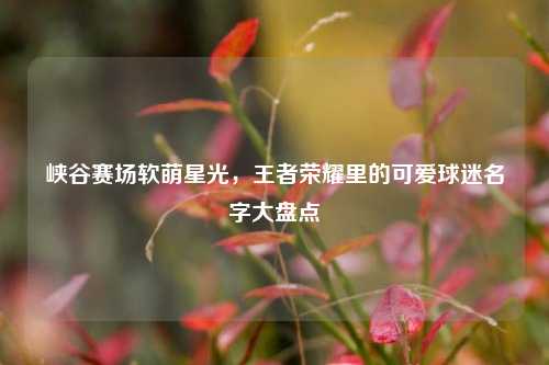 峡谷赛场软萌星光,王者荣耀里的可爱球迷名字大盘点