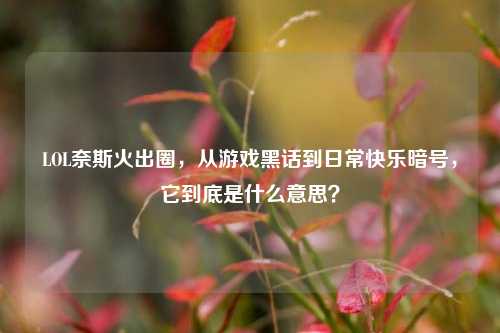 LOL奈斯火出圈,从游戏黑话到日常快乐暗号,它到底是什么意思?