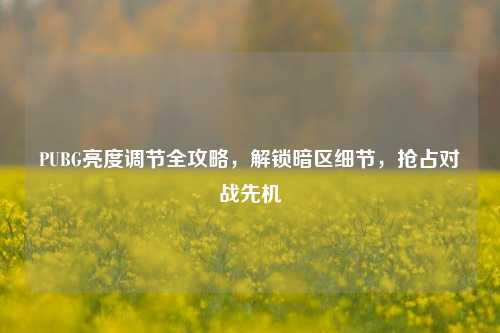 PUBG亮度调节全攻略,解锁暗区细节,抢占对战先机
