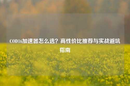 COD16加速器怎么选?高性价比推荐与实战避坑指南