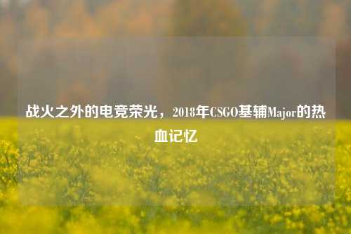 战火之外的电竞荣光,2018年CSGO基辅Major的热血记忆