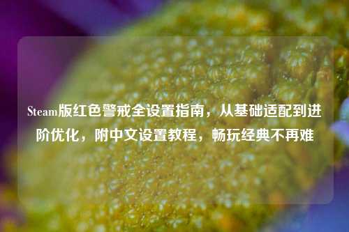 Steam版红色警戒全设置指南,从基础适配到进阶优化,附中文设置教程,畅玩经典不再难