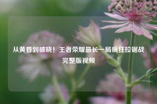 从黄昏到破晓!王者荣耀最长一局疯狂拉锯战完整版视频
