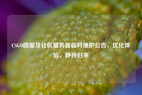 CSGO国服及社区服务器临时维护公告,优化体验,静待归来