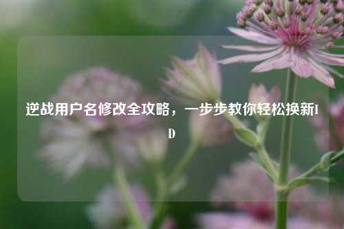 逆战用户名修改全攻略,一步步教你轻松换新ID