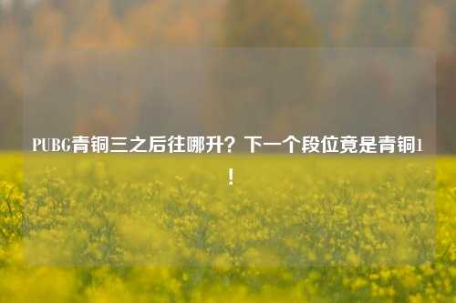 PUBG青铜三之后往哪升?下一个段位竟是青铜1!