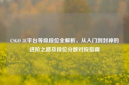 CSGO 5E平台等级段位全解析,从入门到封神的进阶之路及段位分数对应指南