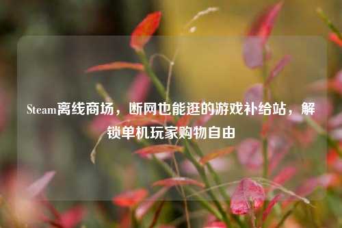 Steam离线商场,断网也能逛的游戏补给站,解锁单机玩家购物自由