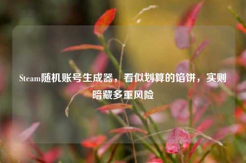 Steam随机账号生成器,看似划算的馅饼,实则暗藏多重风险