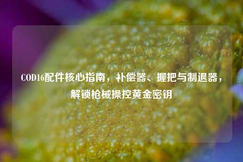 COD16配件核心指南,补偿器、握把与制退器,解锁枪械操控黄金密钥