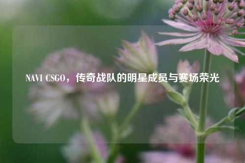 NAVI CSGO,传奇战队的明星成员与赛场荣光