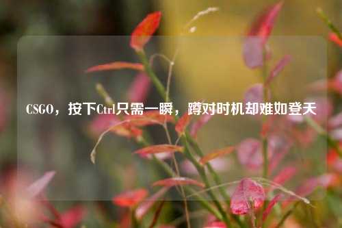 CSGO，按下Ctrl只需一瞬，蹲对时机却难如登天