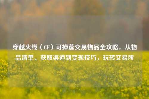 穿越火线(CF)可掉落交易物品全攻略,从物品清单、获取渠道到变现技巧,玩转交易所