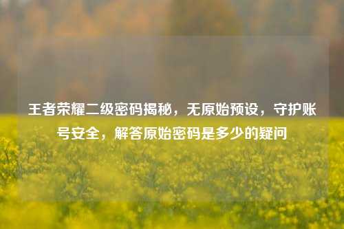 王者荣耀二级密码揭秘,无原始预设,守护账号安全,解答原始密码是多少的疑问