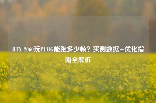 RTX 2060玩PUBG能跑多少帧?实测数据+优化指南全解析