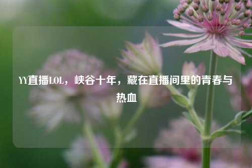 YY直播LOL,峡谷十年,藏在直播间里的青春与热血