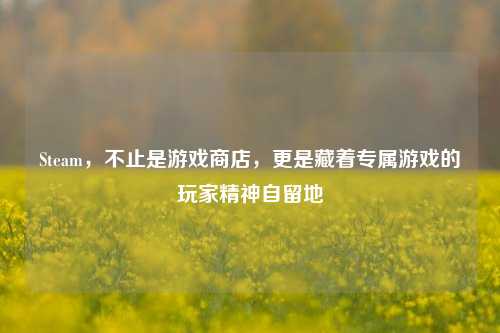 Steam,不止是游戏商店,更是藏着专属游戏的玩家精神自留地