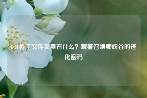 LOL补丁文件夹里有什么?藏着召唤师峡谷的进化密码