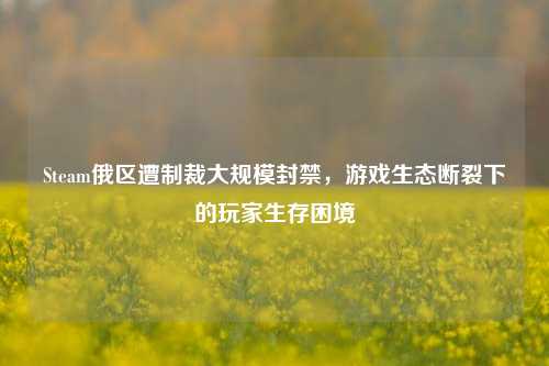 Steam俄区遭制裁大规模封禁,游戏生态断裂下的玩家生存困境