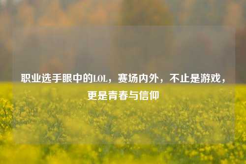 职业选手眼中的LOL,赛场内外,不止是游戏,更是青春与信仰