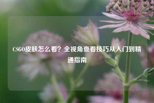 CSGO皮肤怎么看?全视角查看技巧从入门到精通指南