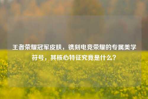 王者荣耀冠军皮肤,镌刻电竞荣耀的专属美学符号,其核心特征究竟是什么?