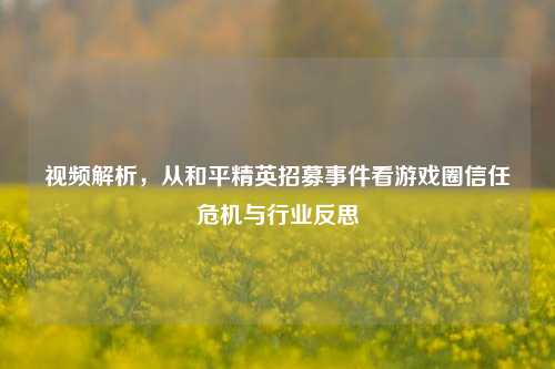视频解析，从和平精英招募事件看游戏圈信任危机与行业反思