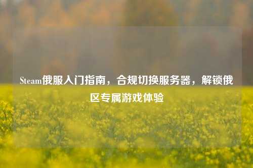 Steam俄服入门指南，合规切换服务器，解锁俄区专属游戏体验