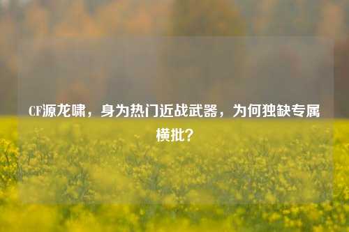 CF源龙啸,身为热门近战武器,为何独缺专属横批?