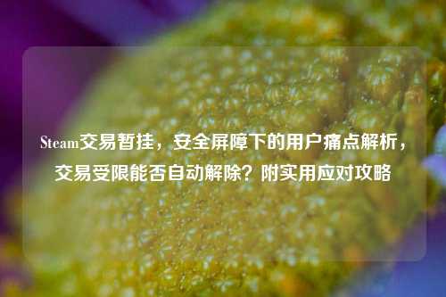 Steam交易暂挂,安全屏障下的用户痛点解析,交易受限能否自动解除?附实用应对攻略