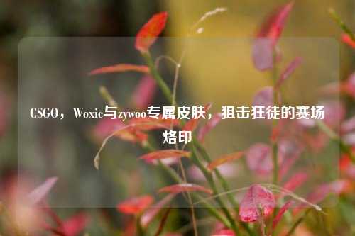 CSGO,Woxic与zywoo专属皮肤,狙击狂徒的赛场烙印
